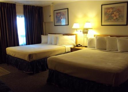 Twin Peaks Motel Napanee Zewnętrze zdjęcie