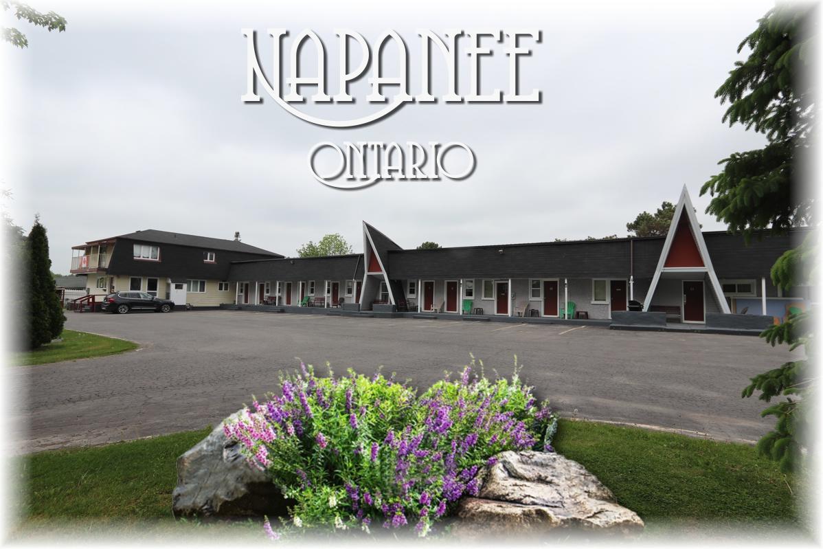 Twin Peaks Motel Napanee Zewnętrze zdjęcie